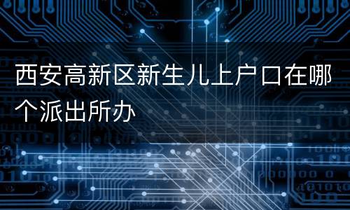 西安高新区新生儿上户口在哪个派出所办
