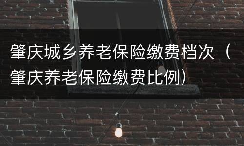 肇庆城乡养老保险缴费档次（肇庆养老保险缴费比例）