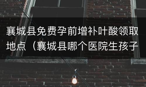 襄城县免费孕前增补叶酸领取地点（襄城县哪个医院生孩子好）