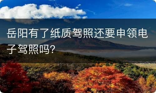 岳阳有了纸质驾照还要申领电子驾照吗？