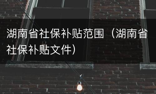 湖南省社保补贴范围（湖南省社保补贴文件）