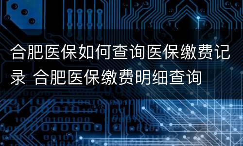 合肥医保如何查询医保缴费记录 合肥医保缴费明细查询