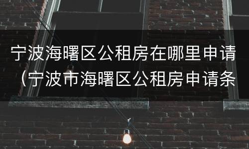 宁波海曙区公租房在哪里申请（宁波市海曙区公租房申请条件）
