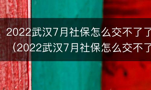 2022武汉7月社保怎么交不了了（2022武汉7月社保怎么交不了了呢）