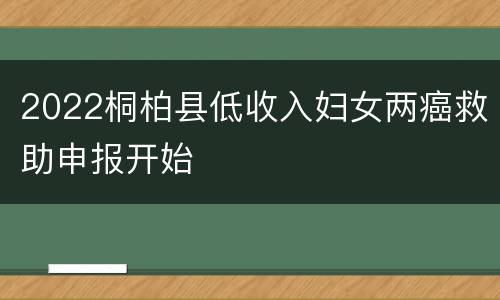 2022桐柏县低收入妇女两癌救助申报开始