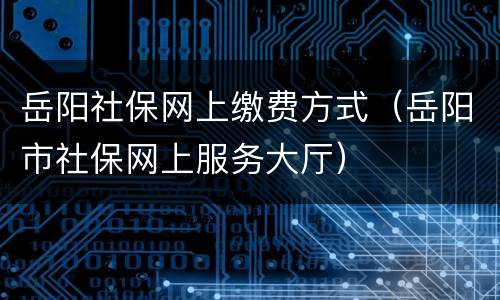 岳阳社保网上缴费方式（岳阳市社保网上服务大厅）