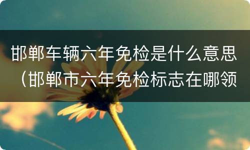 邯郸车辆六年免检是什么意思（邯郸市六年免检标志在哪领）