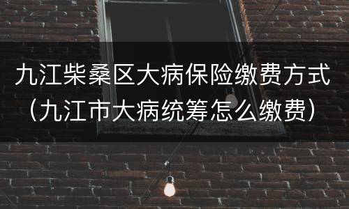 九江柴桑区大病保险缴费方式（九江市大病统筹怎么缴费）