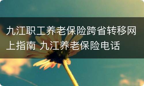 九江职工养老保险跨省转移网上指南 九江养老保险电话