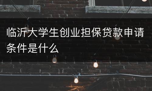 临沂大学生创业担保贷款申请条件是什么