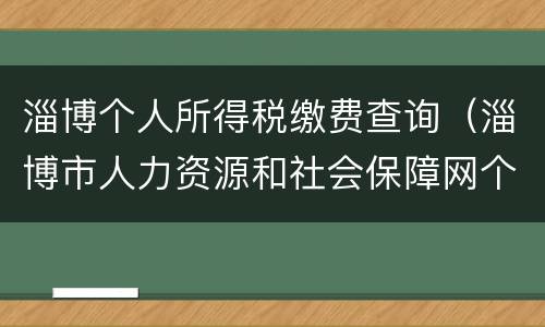 淄博个人所得税缴费查询（淄博市人力资源和社会保障网个人交费查询）