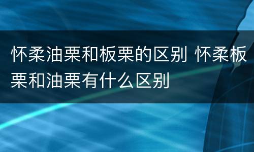怀柔油栗和板栗的区别 怀柔板栗和油栗有什么区别