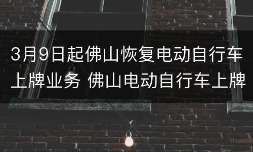 3月9日起佛山恢复电动自行车上牌业务 佛山电动自行车上牌目录