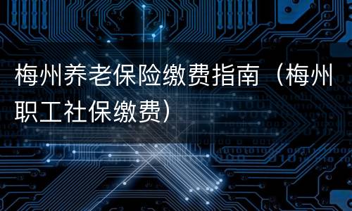 梅州养老保险缴费指南（梅州职工社保缴费）
