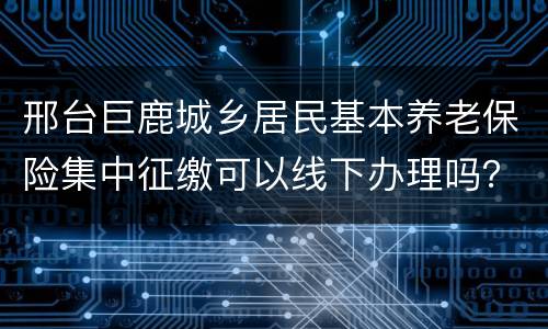 邢台巨鹿城乡居民基本养老保险集中征缴可以线下办理吗？