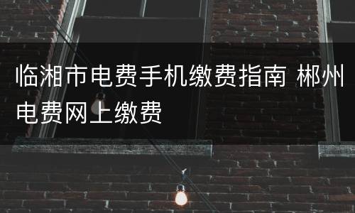 临湘市电费手机缴费指南 郴州电费网上缴费
