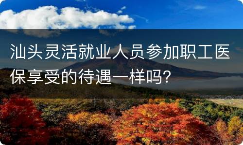 汕头灵活就业人员参加职工医保享受的待遇一样吗？