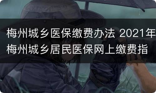 梅州城乡医保缴费办法 2021年梅州城乡居民医保网上缴费指南