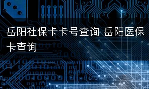 岳阳社保卡卡号查询 岳阳医保卡查询