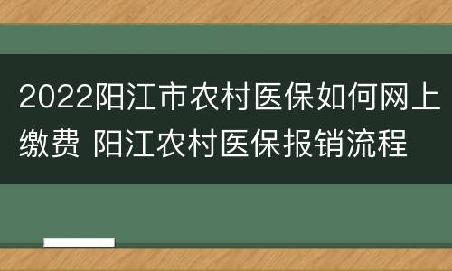 2022阳江市农村医保如何网上缴费 阳江农村医保报销流程