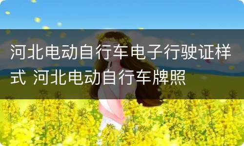 河北电动自行车电子行驶证样式 河北电动自行车牌照
