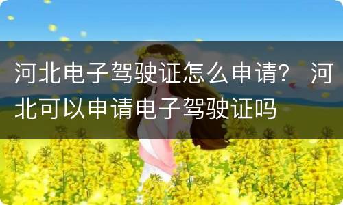 河北电子驾驶证怎么申请？ 河北可以申请电子驾驶证吗