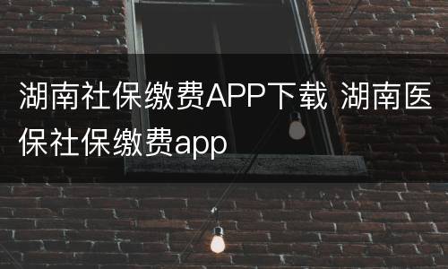 湖南社保缴费APP下载 湖南医保社保缴费app