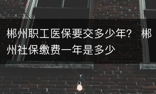 郴州职工医保要交多少年？ 郴州社保缴费一年是多少