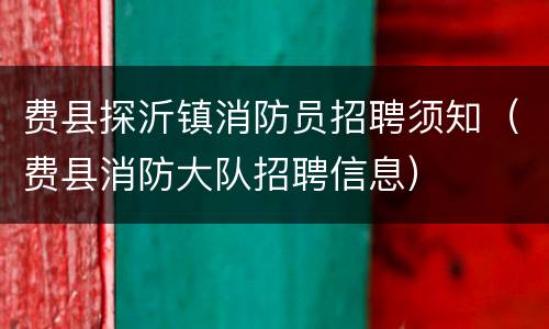 费县探沂镇消防员招聘须知（费县消防大队招聘信息）