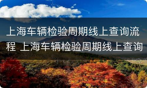 上海车辆检验周期线上查询流程 上海车辆检验周期线上查询流程视频
