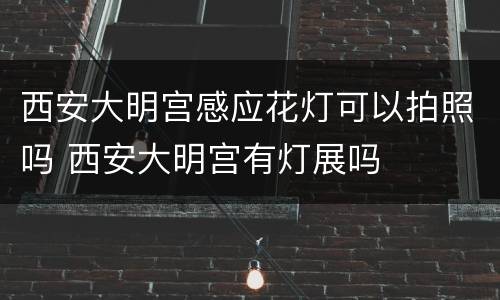 西安大明宫感应花灯可以拍照吗 西安大明宫有灯展吗