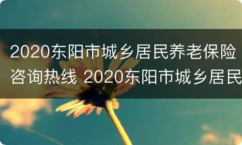 2020东阳市城乡居民养老保险咨询热线 2020东阳市城乡居民养老保险咨询热线电话