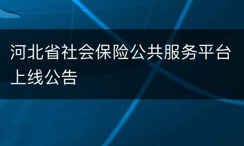 河北省社会保险公共服务平台上线公告
