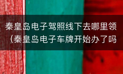 秦皇岛电子驾照线下去哪里领（秦皇岛电子车牌开始办了吗）
