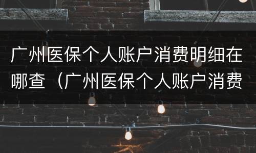 广州医保个人账户消费明细在哪查（广州医保个人账户消费明细在哪查询）