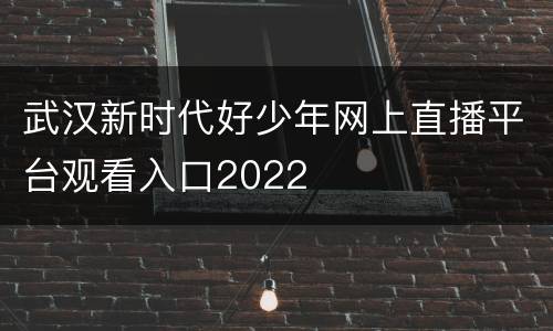 武汉新时代好少年网上直播平台观看入口2022
