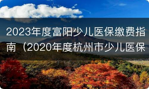 2023年度富阳少儿医保缴费指南（2020年度杭州市少儿医保缴费）