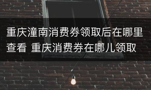 重庆潼南消费券领取后在哪里查看 重庆消费券在哪儿领取