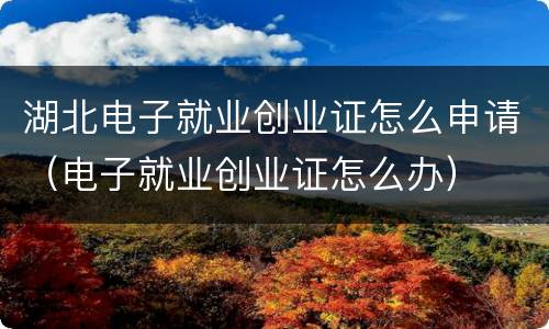 湖北电子就业创业证怎么申请（电子就业创业证怎么办）