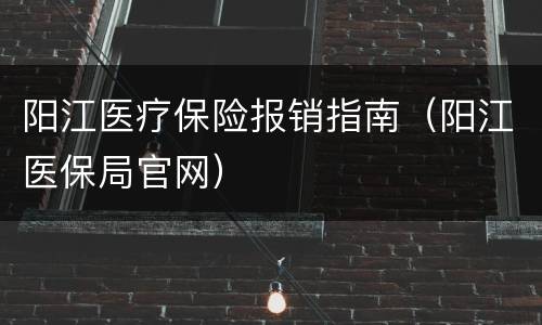 阳江医疗保险报销指南（阳江医保局官网）