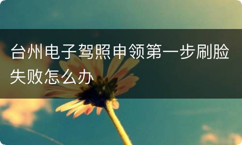 台州电子驾照申领第一步刷脸失败怎么办