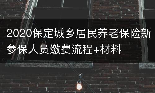2020保定城乡居民养老保险新参保人员缴费流程+材料