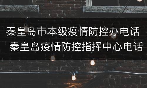 秦皇岛市本级疫情防控办电话 秦皇岛疫情防控指挥中心电话