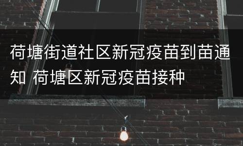荷塘街道社区新冠疫苗到苗通知 荷塘区新冠疫苗接种
