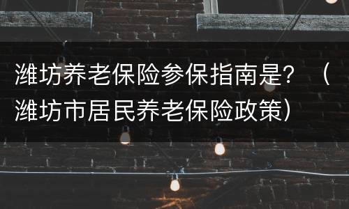 潍坊养老保险参保指南是？（潍坊市居民养老保险政策）