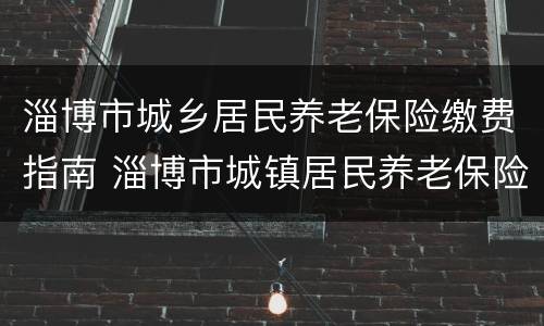 淄博市城乡居民养老保险缴费指南 淄博市城镇居民养老保险缴费标准