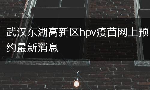武汉东湖高新区hpv疫苗网上预约最新消息