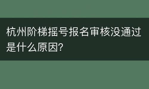 杭州阶梯摇号报名审核没通过是什么原因？