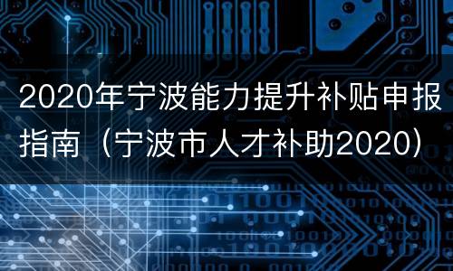 2020年宁波能力提升补贴申报指南（宁波市人才补助2020）
