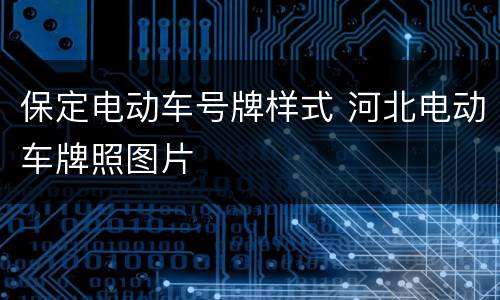 保定电动车号牌样式 河北电动车牌照图片